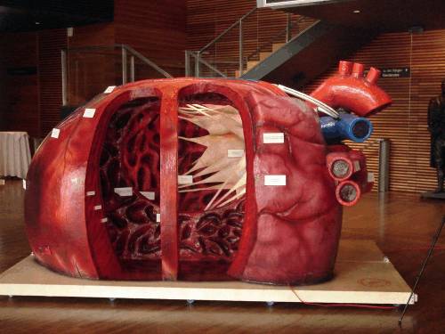 Gesundheitstag im Landratsamt 2010: Kostenlose Tests, begehbares Herzmodell, Ausstellung &bdquo;Die Zecke