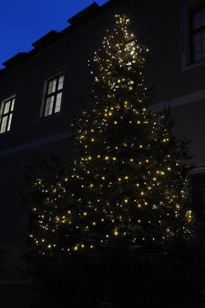 Weihnachtsbaum im Landratsamt Amberg-Sulzbach