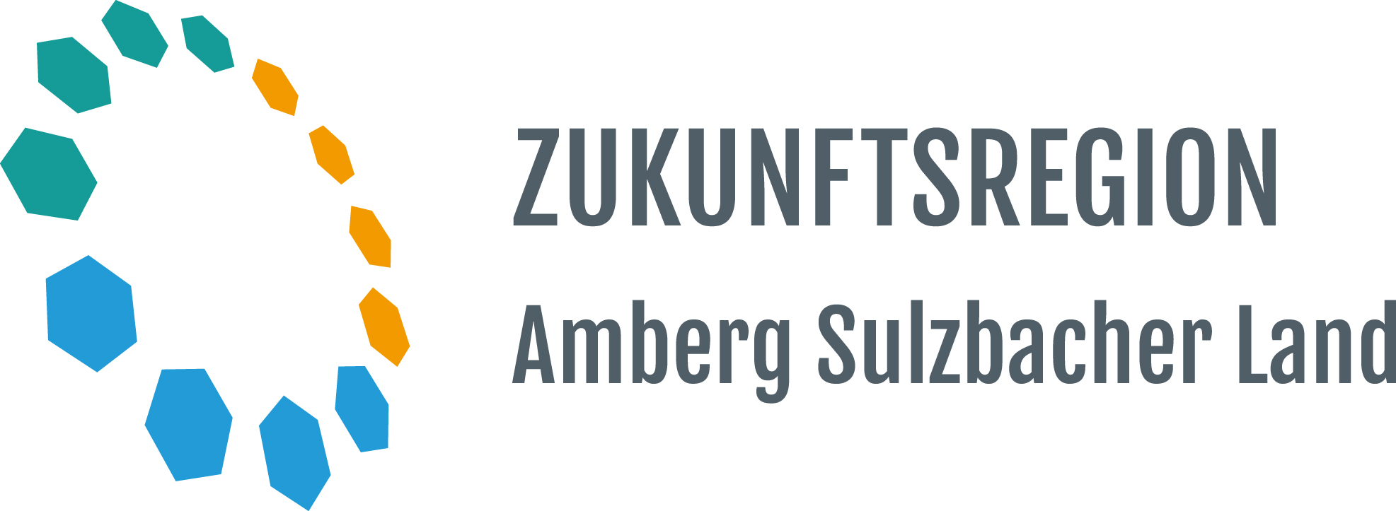 Logo Zukunftsregion Amberg-Sulzbach