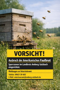 Amerikanische Faulbrut