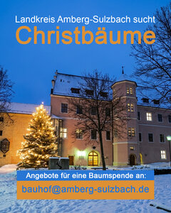 Landkreis sucht Christb&auml;ume_Neutral