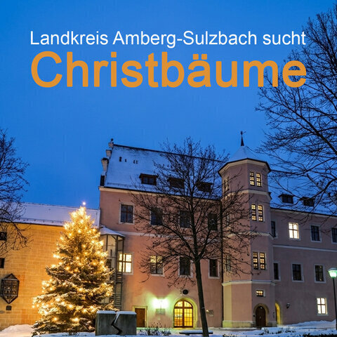Landkreis sucht Christb&auml;ume_Neutral